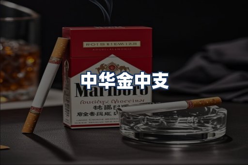 中华金中支